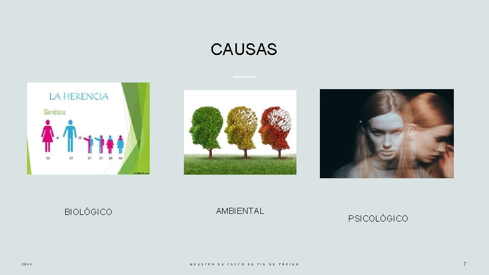 CAUSAS AMBIENTAL BIOLÓGICO 20 XX M U E S T R A D E