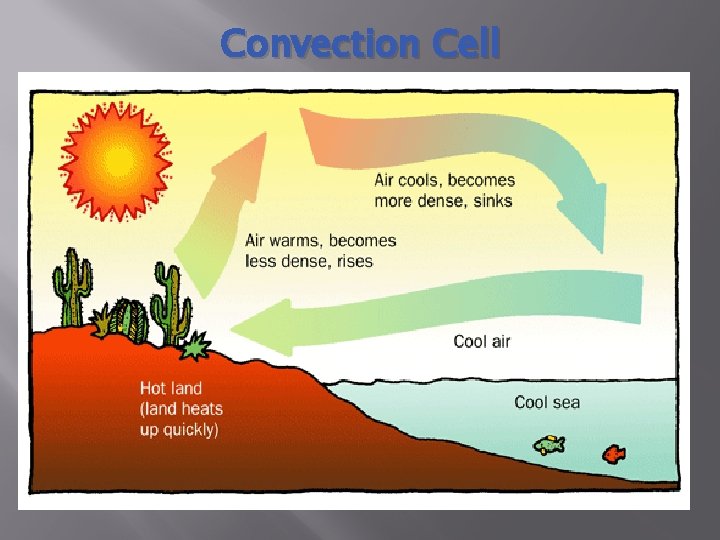 Convection Cell 