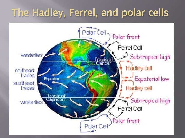 The Hadley, Ferrel, and polar cells 