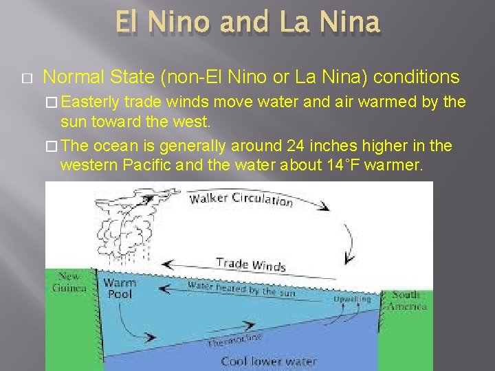 El Nino and La Nina � Normal State (non-El Nino or La Nina) conditions