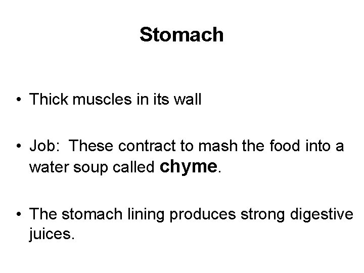 Stomach • Thick muscles in its wall • Job: These contract to mash the