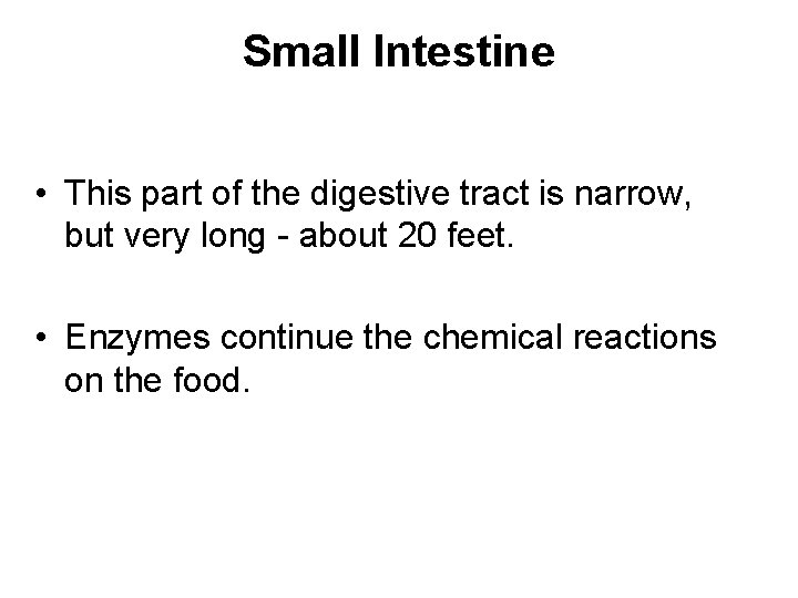 Small Intestine • This part of the digestive tract is narrow, but very long