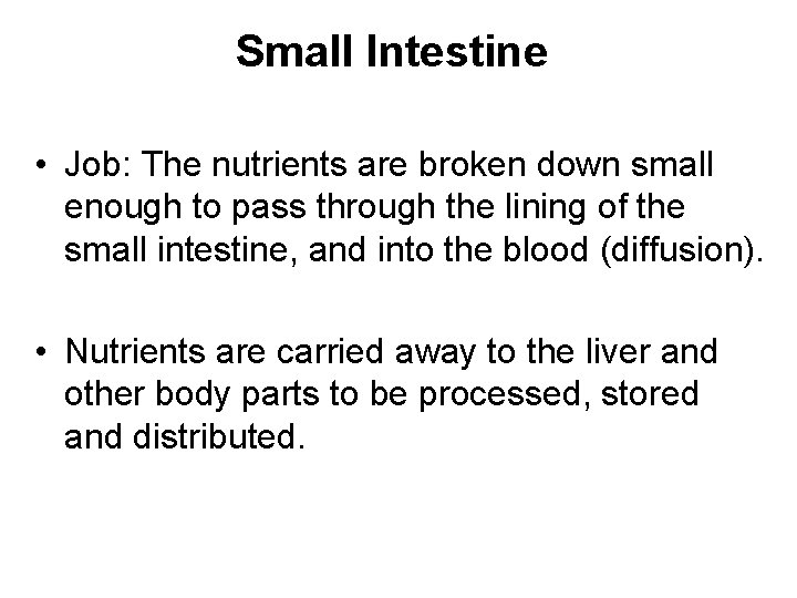 Small Intestine • Job: The nutrients are broken down small enough to pass through