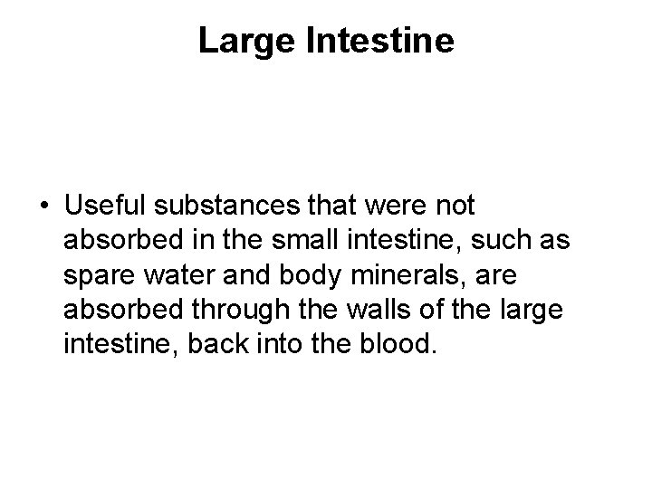 Large Intestine • Useful substances that were not absorbed in the small intestine, such