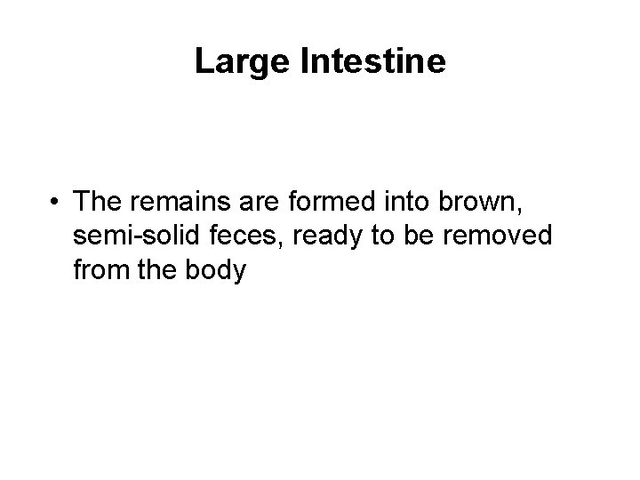 Large Intestine • The remains are formed into brown, semi-solid feces, ready to be