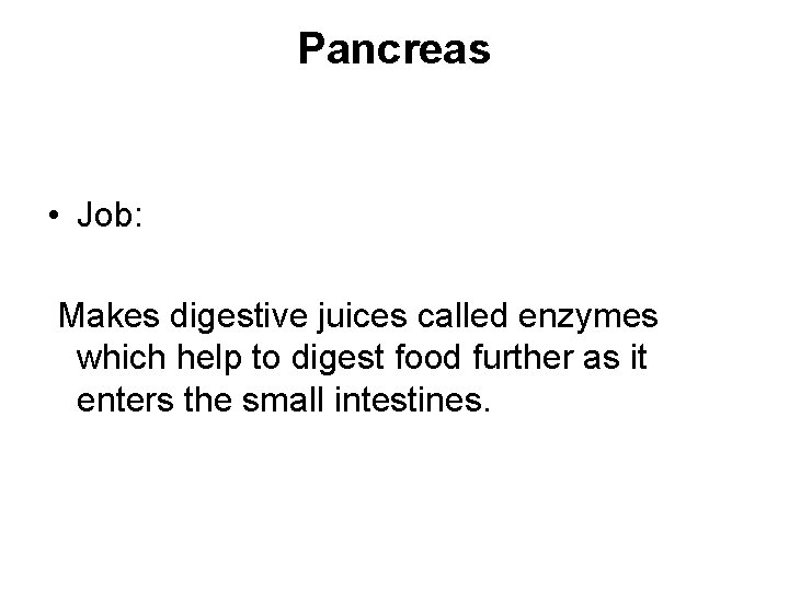 Pancreas • Job: Makes digestive juices called enzymes which help to digest food further