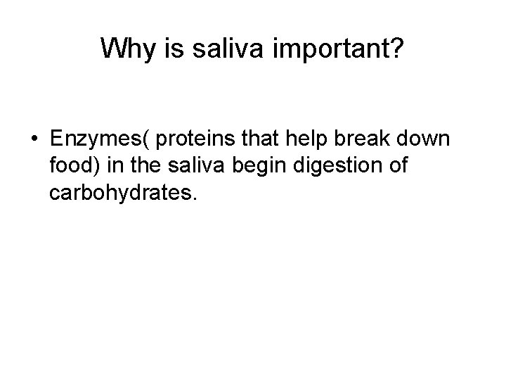 Why is saliva important? • Enzymes( proteins that help break down food) in the