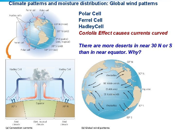 Climate patterns and moisture distribution: Global wind patterns Polar Cell Ferrel Cell Hadley. Cell