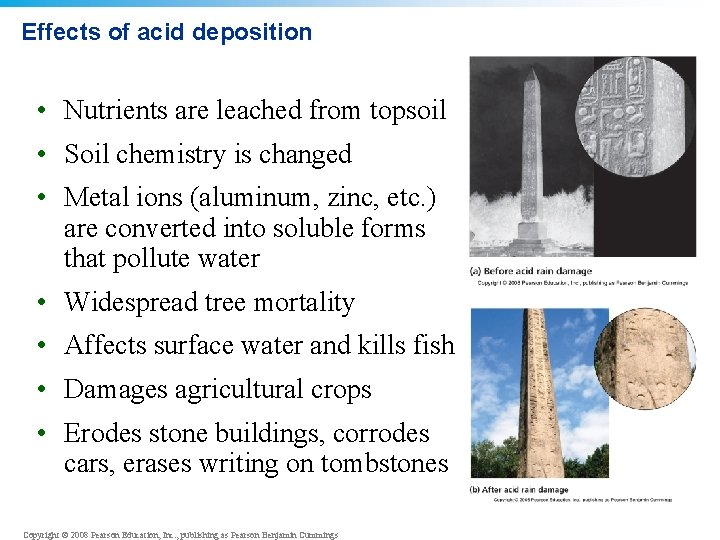 Effects of acid deposition • Nutrients are leached from topsoil • Soil chemistry is