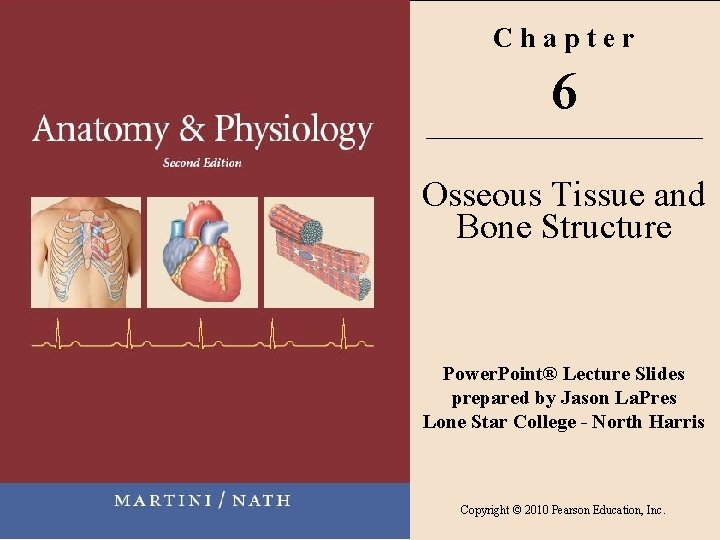 Chapter 6 Osseous Tissue and Bone Structure Power. Point® Lecture Slides prepared by Jason