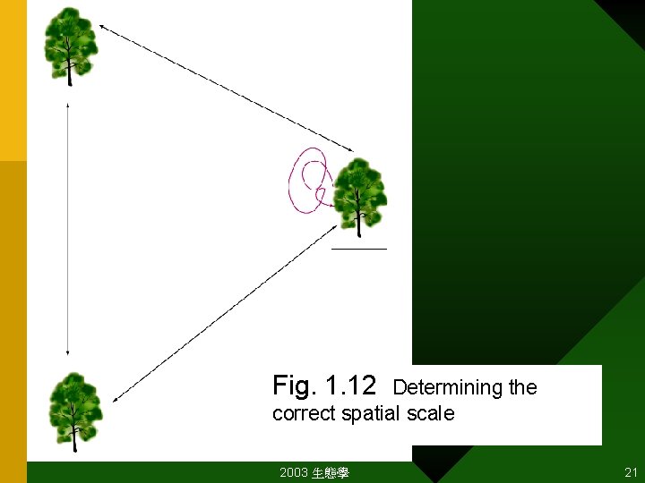  • Fig. 1. 12 Determining the correct spatial scale 2003 生態學 21 