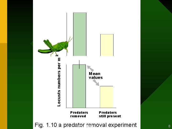 2 Locusts numbers per m Mean values Predators removed Predators still present Fig. 1.