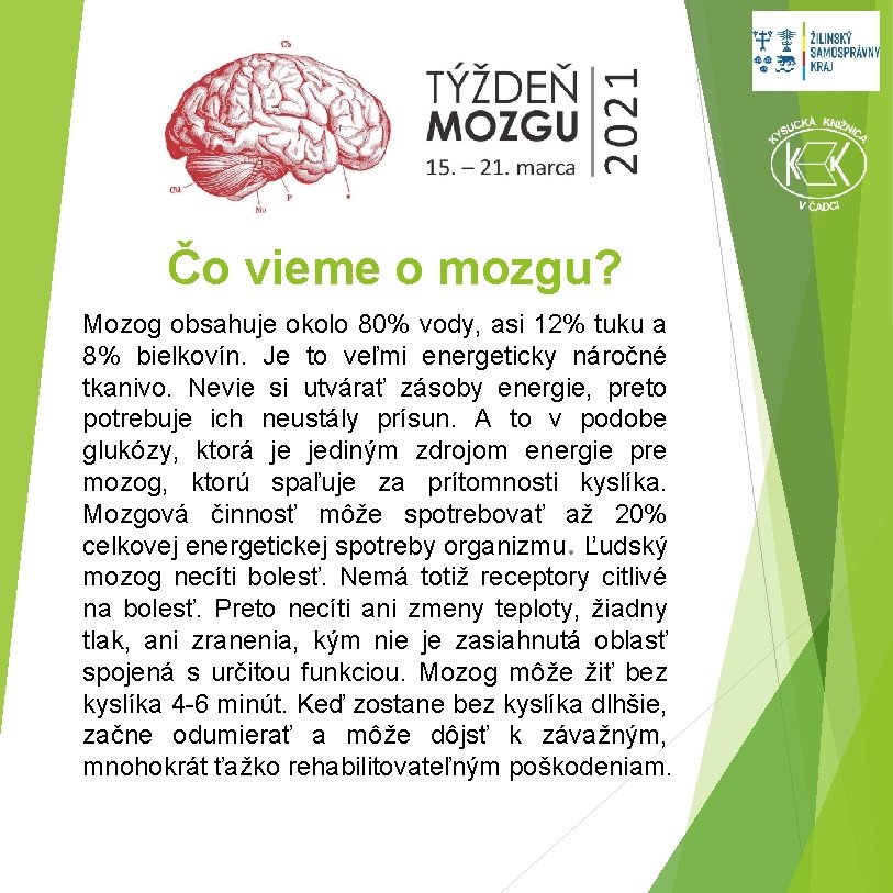 Čo vieme o mozgu? Mozog obsahuje okolo 80% vody, asi 12% tuku a 8%