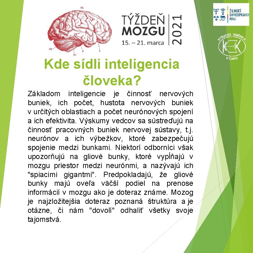 Kde sídli inteligencia človeka? Základom inteligencie je činnosť nervových buniek, ich počet, hustota nervových