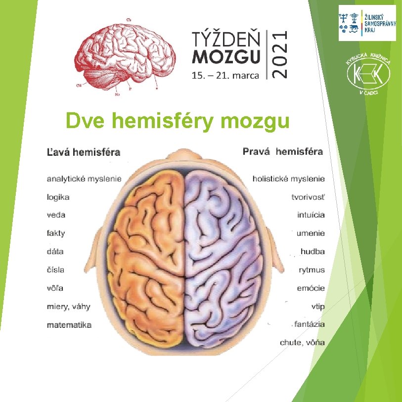 Dve hemisféry mozgu 