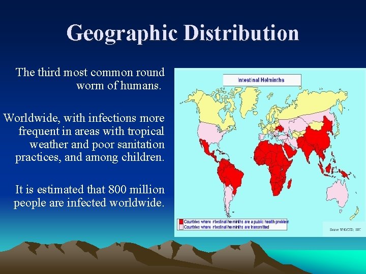 Geographic Distribution The third most common round worm of humans. Worldwide, with infections more