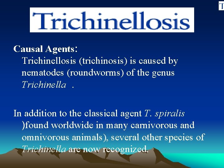 Causal Agents: Trichinellosis (trichinosis) is caused by nematodes (roundworms) of the genus Trichinella. In