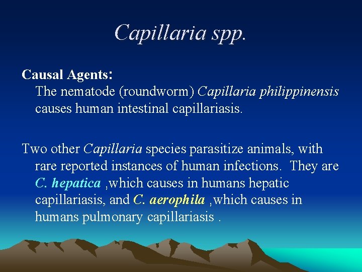 Capillaria spp. Causal Agents: The nematode (roundworm) Capillaria philippinensis causes human intestinal capillariasis. Two