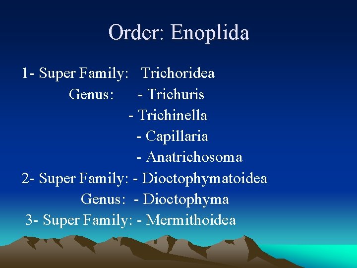 Order: Enoplida 1 - Super Family: Trichoridea Genus: - Trichuris - Trichinella - Capillaria