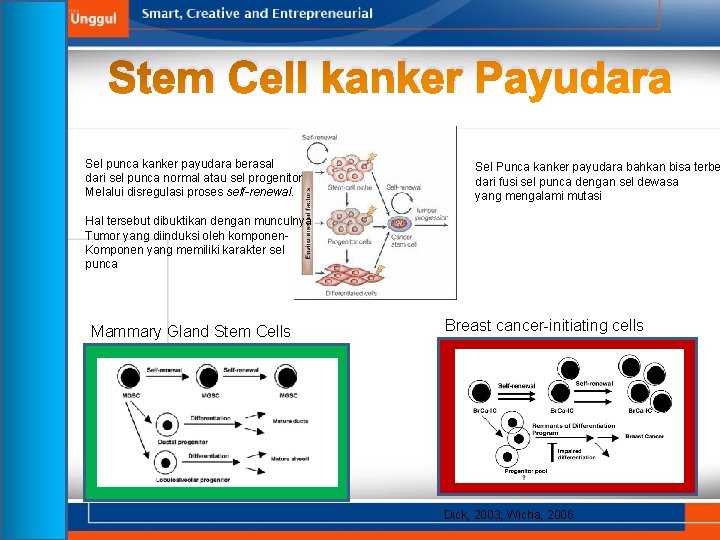 Stem Cell kanker Payudara Sel punca kanker payudara berasal dari sel punca normal atau