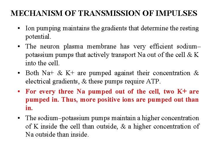 MECHANISM OF TRANSMISSION OF IMPULSES • Ion pumping maintains the gradients that determine the