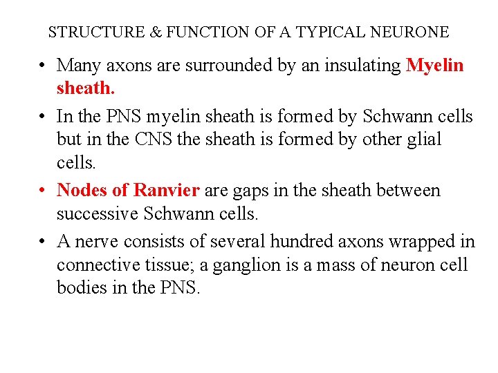 STRUCTURE & FUNCTION OF A TYPICAL NEURONE • Many axons are surrounded by an