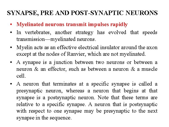 SYNAPSE, PRE AND POST-SYNAPTIC NEURONS • Myelinated neurons transmit impulses rapidly • In vertebrates,