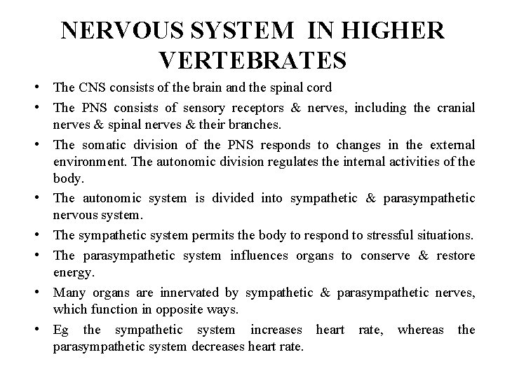 NERVOUS SYSTEM IN HIGHER VERTEBRATES • The CNS consists of the brain and the