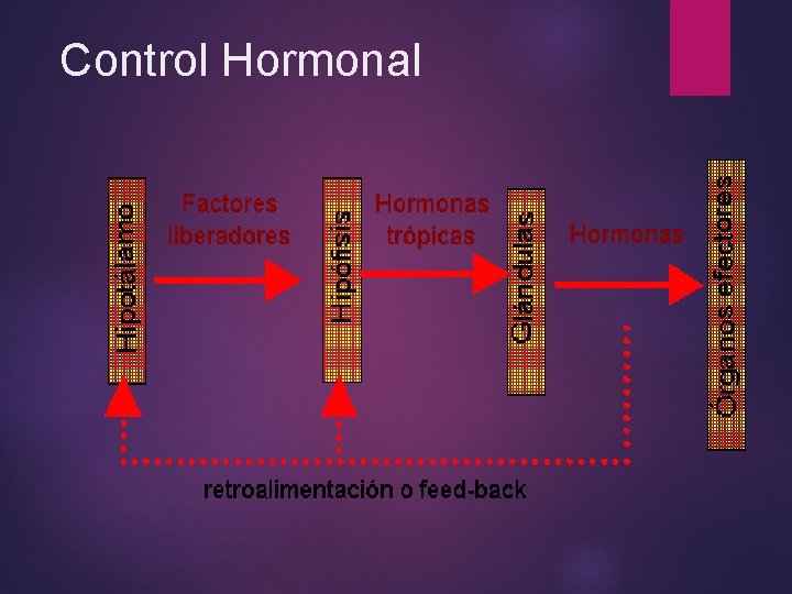 Control Hormonal Control Hormonal