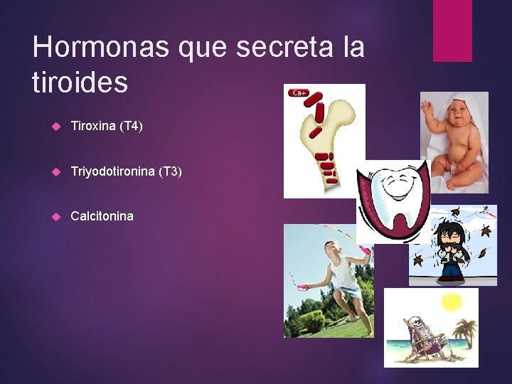 Hormonas que secreta la tiroides Tiroxina (T 4) Triyodotironina (T 3) Calcitonina Hormonas que secreta la tiroides Tiroxina (T 4) Triyodotironina (T 3) Calcitonina
