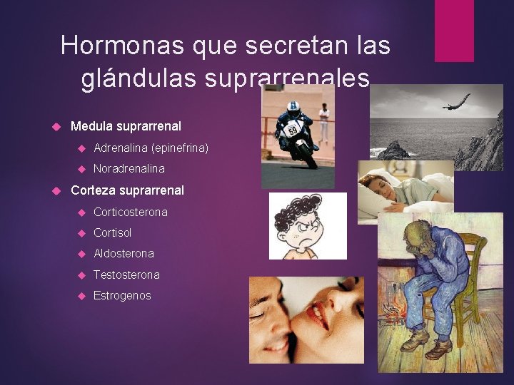 Hormonas que secretan las glándulas suprarrenales Medula suprarrenal Adrenalina (epinefrina) Noradrenalina Corteza suprarrenal Corticosterona Hormonas que secretan las glándulas suprarrenales Medula suprarrenal Adrenalina (epinefrina) Noradrenalina Corteza suprarrenal Corticosterona