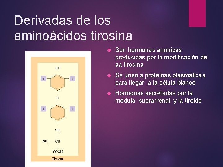 Derivadas de los aminoácidos tirosina Son hormonas amínicas producidas por la modificación del aa Derivadas de los aminoácidos tirosina Son hormonas amínicas producidas por la modificación del aa