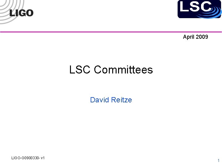 April 2009 LSC Committees David Reitze LIGO-G 0900330 - v 1 1 