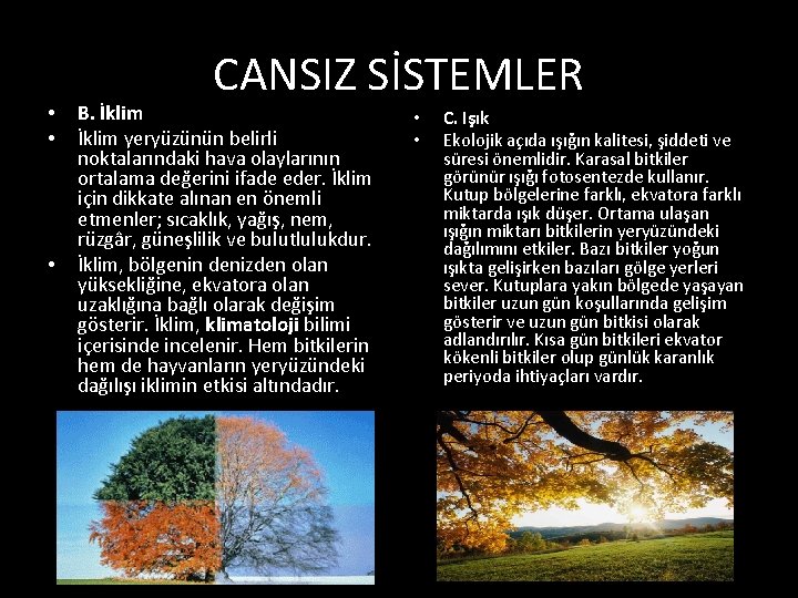  • • • CANSIZ SİSTEMLER B. İklim yeryüzünün belirli noktalarındaki hava olaylarının ortalama