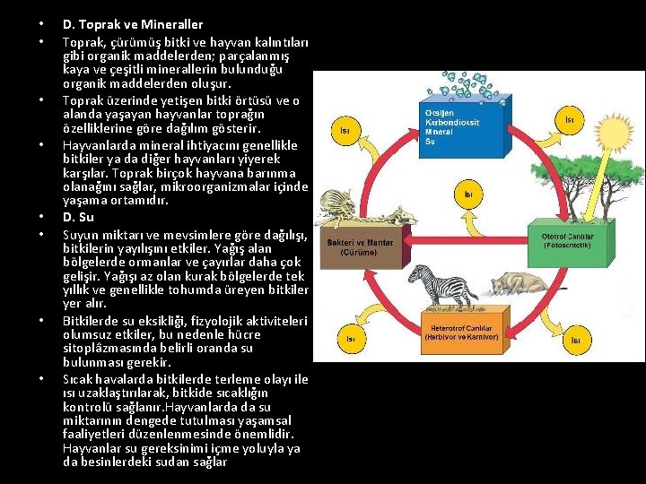  • • D. Toprak ve Mineraller Toprak, çürümüş bitki ve hayvan kalıntıları gibi