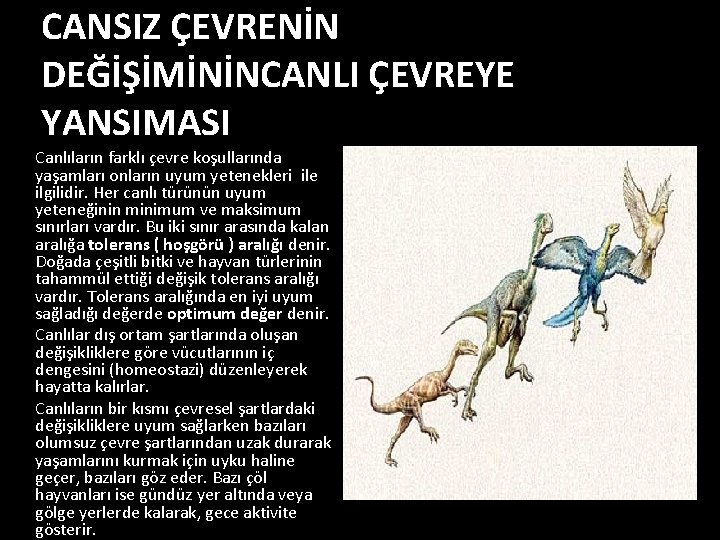 CANSIZ ÇEVRENİN DEĞİŞİMİNİNCANLI ÇEVREYE YANSIMASI Canlıların farklı çevre koşullarında yaşamları onların uyum yetenekleri ile