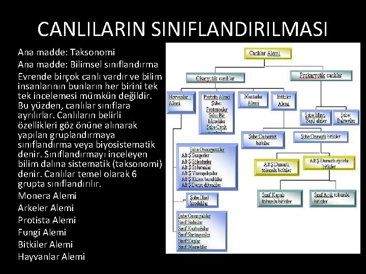 CANLILARIN SINIFLANDIRILMASI Ana madde: Taksonomi Ana madde: Bilimsel sınıflandırma Evrende birçok canlı vardır ve