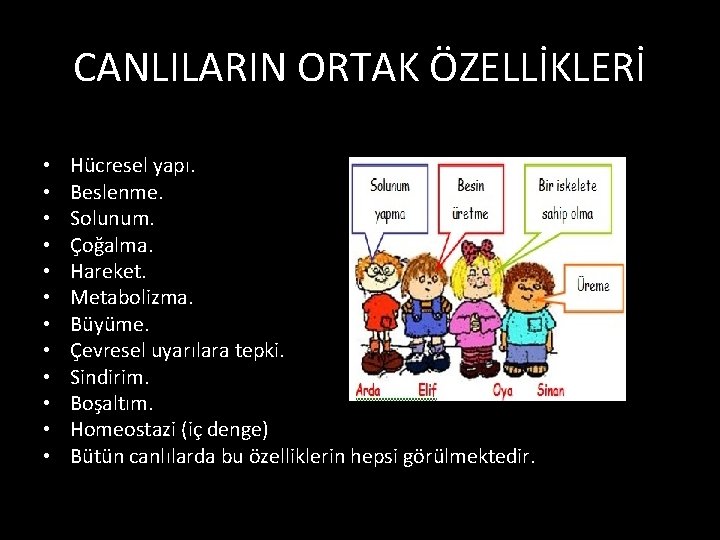 CANLILARIN ORTAK ÖZELLİKLERİ • • • Hücresel yapı. Beslenme. Solunum. Çoğalma. Hareket. Metabolizma. Büyüme.