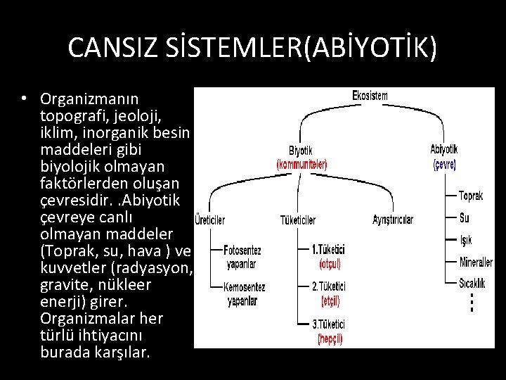 CANSIZ SİSTEMLER(ABİYOTİK) • Organizmanın topografi, jeoloji, iklim, inorganik besin maddeleri gibi biyolojik olmayan faktörlerden