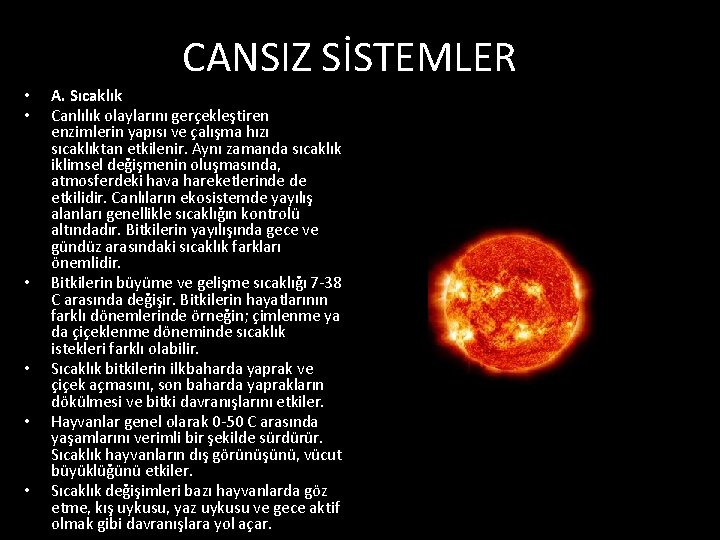 CANSIZ SİSTEMLER • • • A. Sıcaklık Canlılık olaylarını gerçekleştiren enzimlerin yapısı ve çalışma