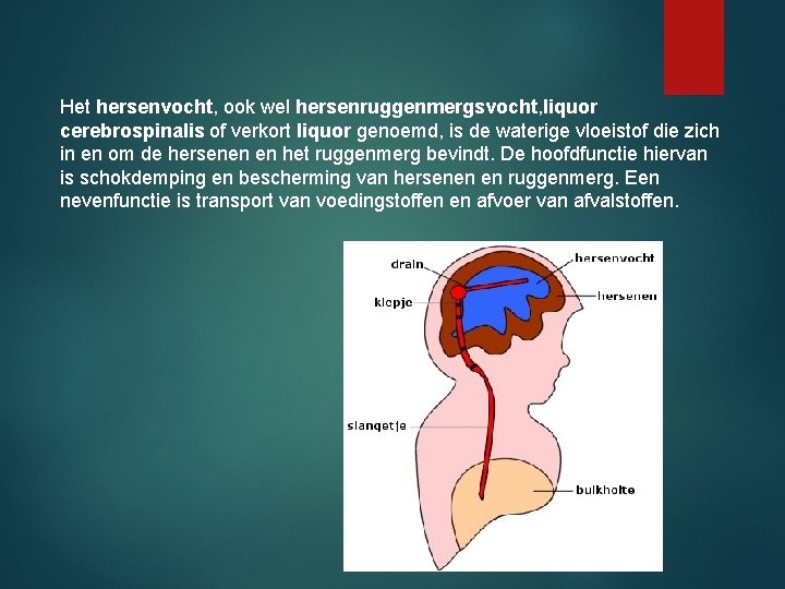 Het hersenvocht, ook wel hersenruggenmergsvocht, liquor cerebrospinalis of verkort liquor genoemd, is de waterige