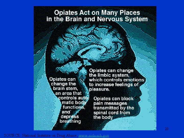 20 SOURCE: National Institute on Drug Abuse, www. nida. nih. gov. 