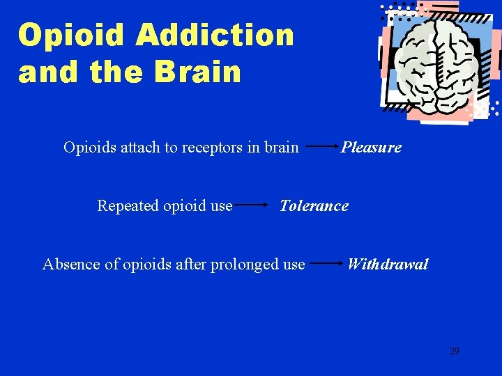 Opioid Addiction and the Brain Opioids attach to receptors in brain Repeated opioid use