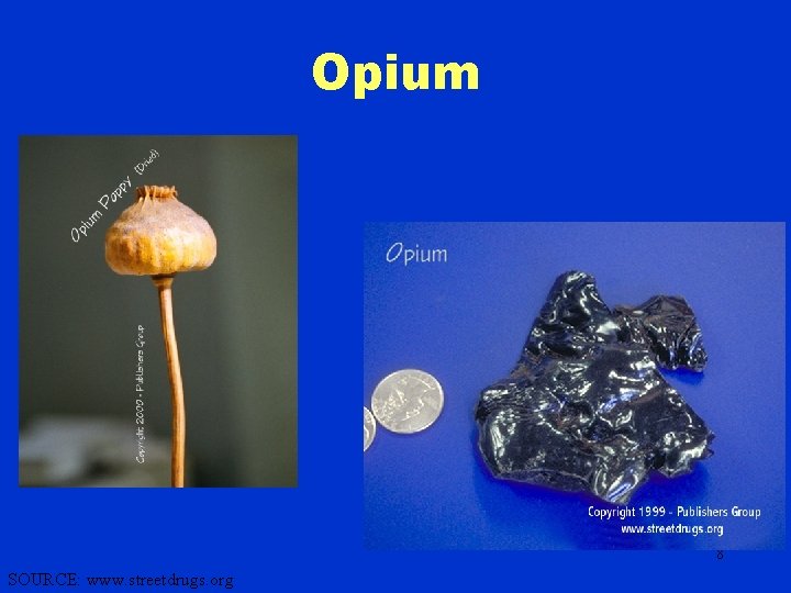 Opium 8 SOURCE: www. streetdrugs. org 