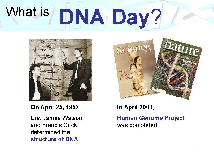 What is DNA Day On April 25 1953