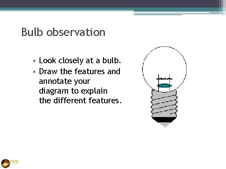 Bulb observation • Look closely at a bulb. • Draw the features and annotate