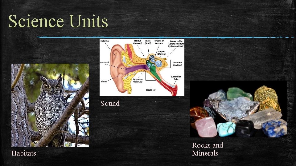 Science Units Sound Habitats Rocks and Minerals 