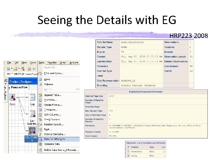 Seeing the Details with EG HRP 223 2008 