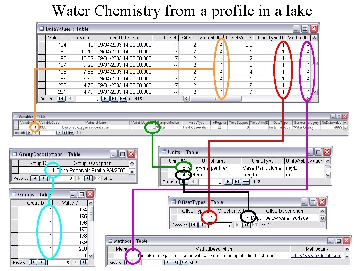 Water Chemistry from a profile in a lake 