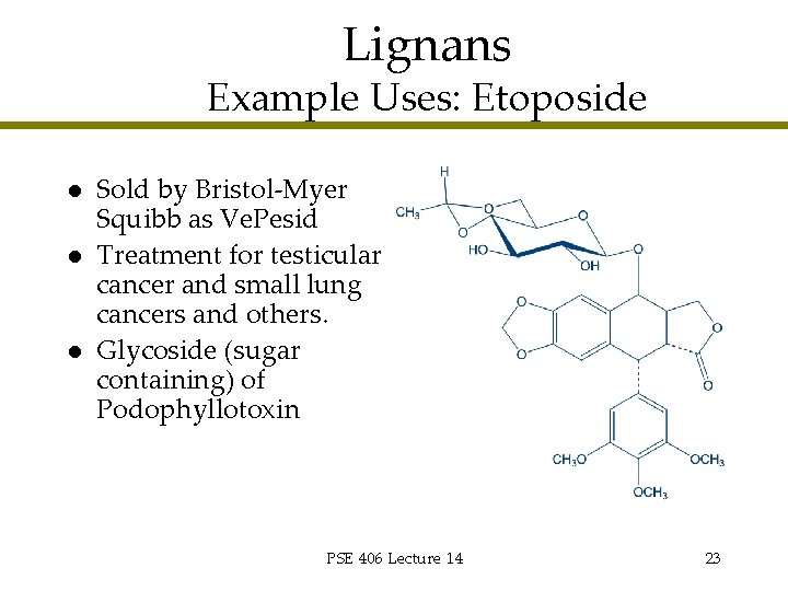Lignans Example Uses: Etoposide l l l Sold by Bristol-Myer Squibb as Ve. Pesid